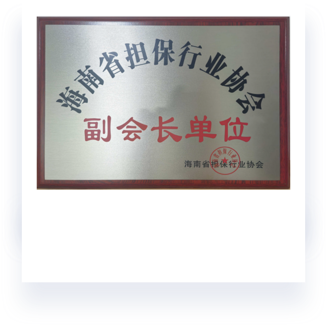 副会长单位